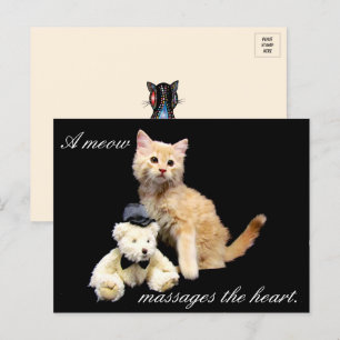 Cat Pic - Sundrop and Teddy Bear Postcard