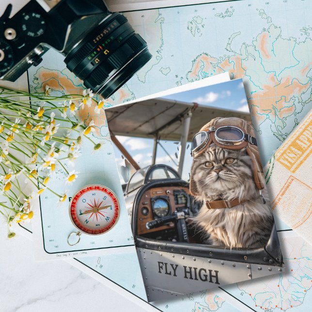 Cat Pilot & Aeroplane, Cool Funny Aviation Birthda Card (Creator Uploaded)