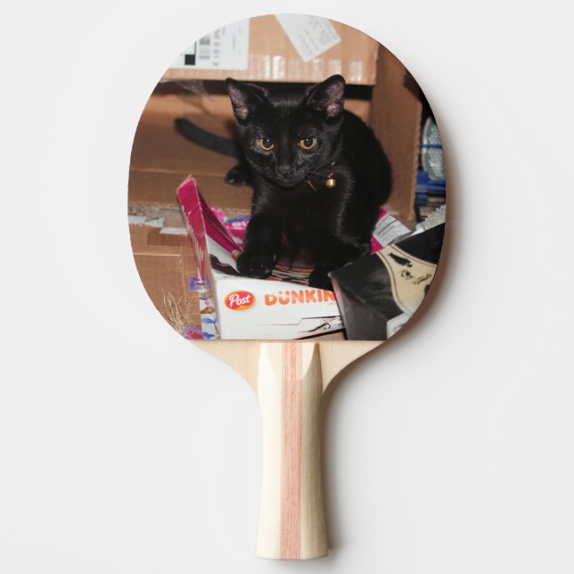 Cat Ping Pong Paddle (Front)
