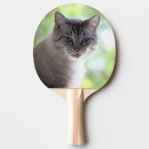 Cat ping pong paddle