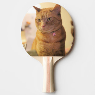 Cat Ping Pong Paddle