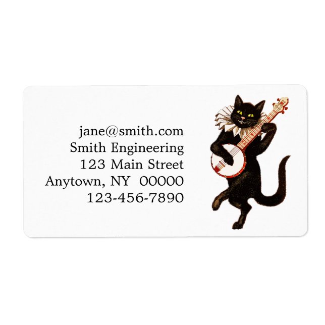 Cat playing Banjo (Front)