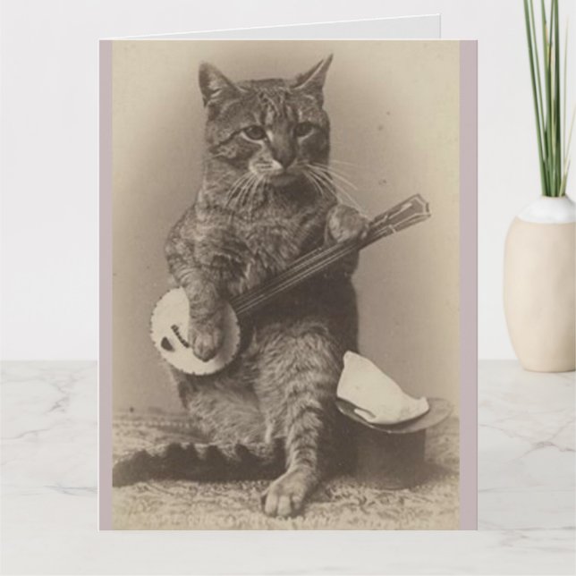 CAT PLAYING BANJO OVERSIZED BIRTHDAY CARDS (Front)
