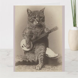 CAT PLAYING BANJO OVERSIZED BIRTHDAY CARDS