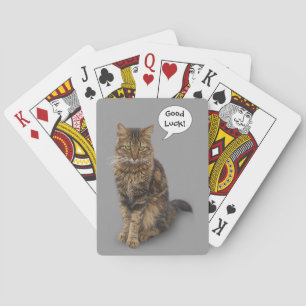 Cat Playing Cards