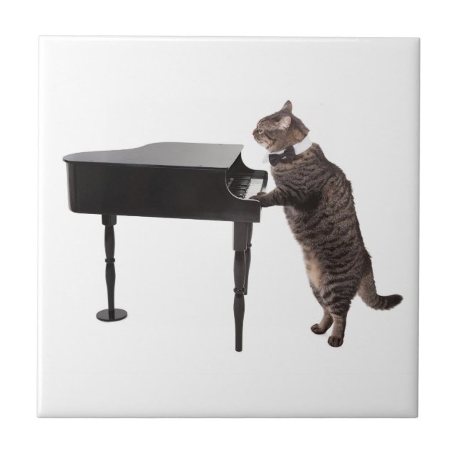 Cat Playing Piano Tile (Front)