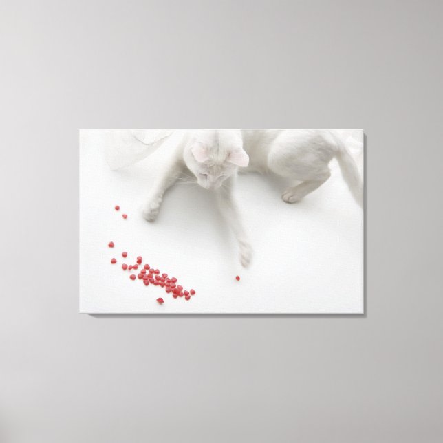 Cat playing with heart shaped candy canvas print (Front)