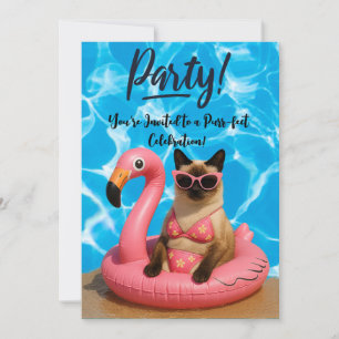 Cat Pool Party Invitation