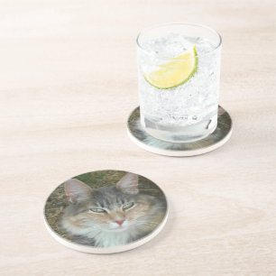 Cat Portrait Coaster