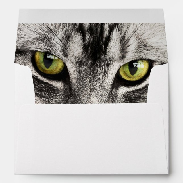 Cat Portrait Envelope (Back (Bottom))