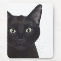 Cat, Portrait of Gus