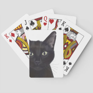 Cat, Portrait of Gus Playing Cards