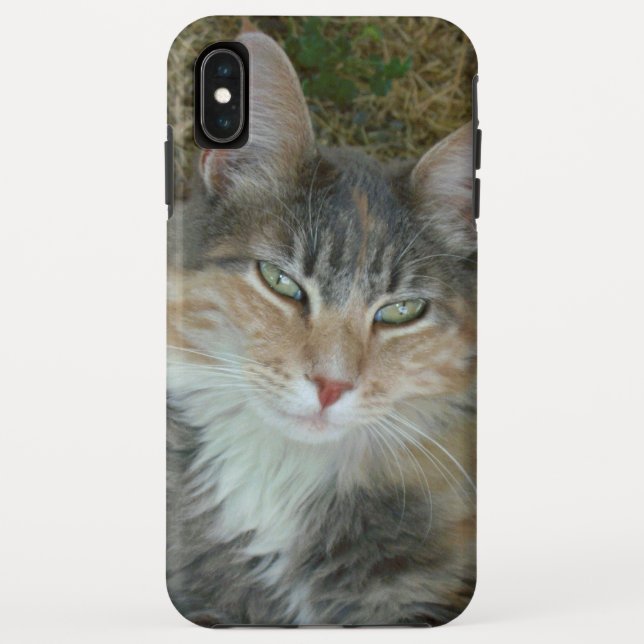 Cat Portrait 😺 Phone Case (Back)