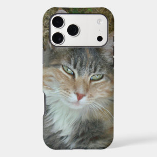Cat Portrait 😺 Phone Case