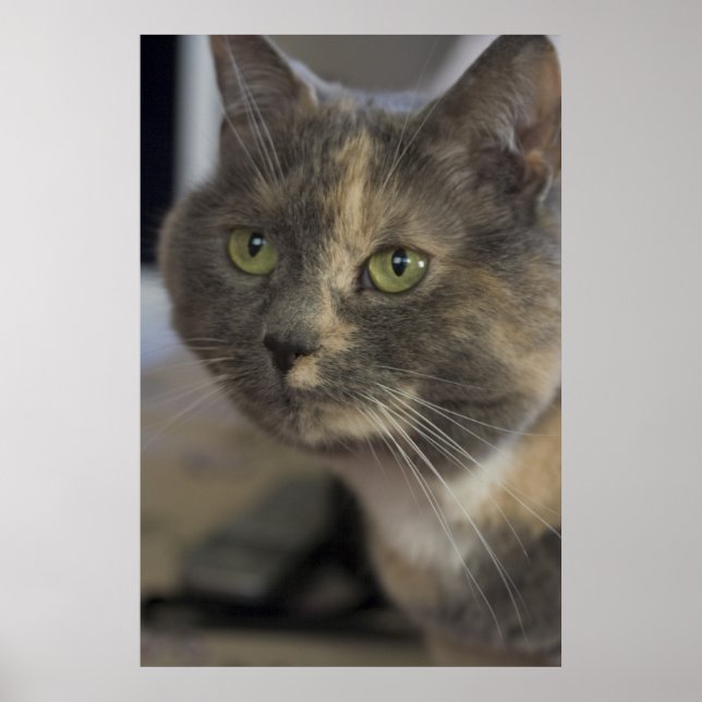 Cat Portrait Print (Front)