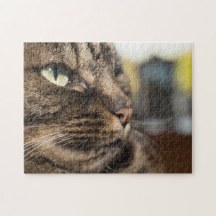 Cat Portrait Puzzle