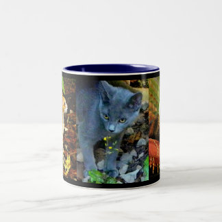 CAT PORTRAITS Two-Tone COFFEE MUG
