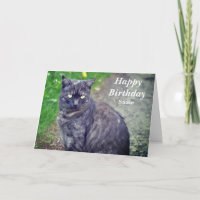 Cat Posing in Sitting Position Happy Birthday