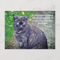 Cat posing on a walk Motivational Buddhist Quote