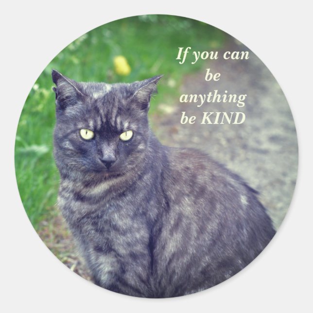 Cat Posing on a Walk Motivational Classic Round Sticker (Front)