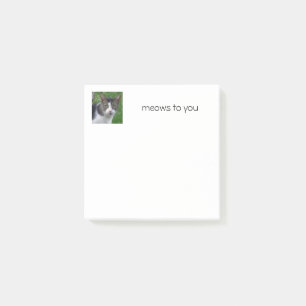 Cat Post-it Notes