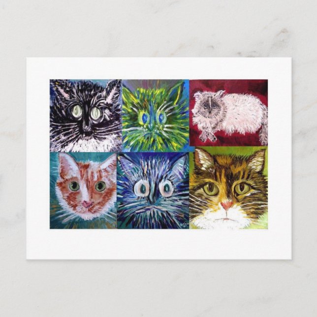 Cat Postcard (Front)