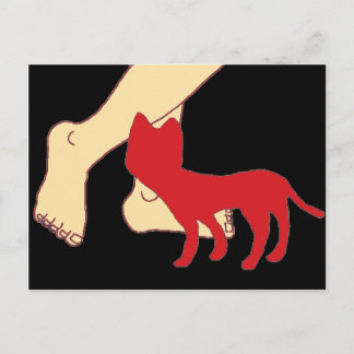 Cat Postcard