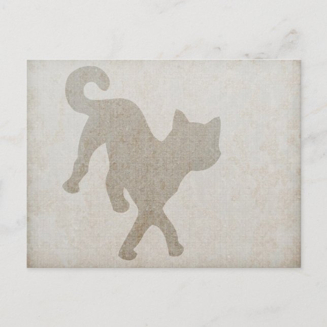 Cat Postcard (Front)