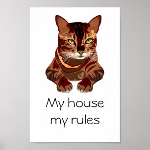 Cat Poster