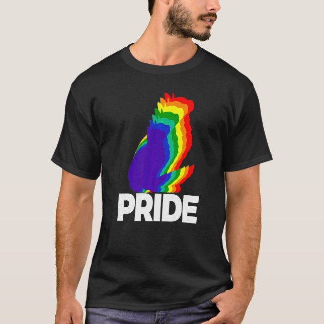Cat Pride Cat Rainbow Colour  Cat  Kitten  9 T-Shirt (Front)
