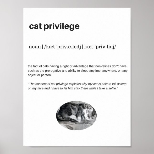 Cat privilege funny quote white poster (Front)