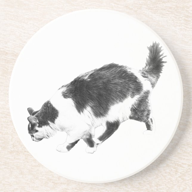 Cat Prowl in Autumn Shadows Coaster (Front)
