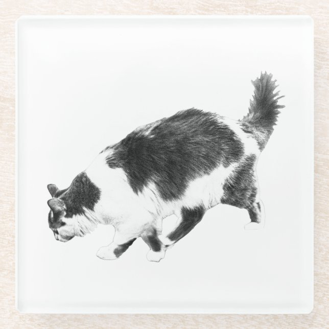 Cat Prowl in Autumn Shadows Glass Coaster (Front)