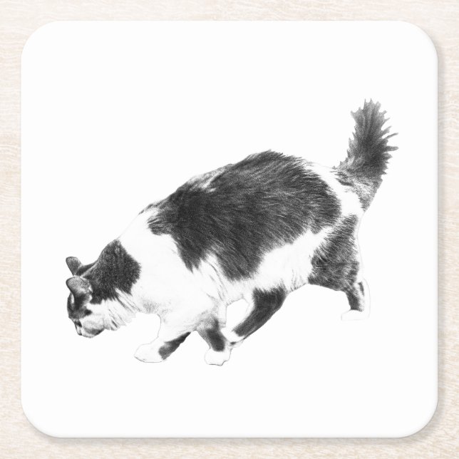 Cat Prowl in Autumn Shadows Square Paper Coaster (Front)