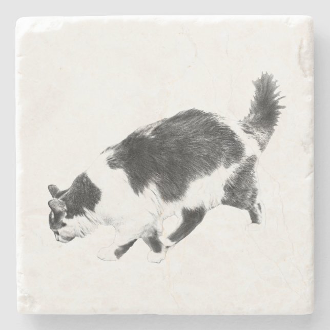 Cat Prowl in Autumn Shadows Stone Coaster (Front)