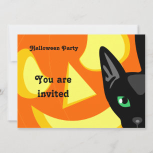 Cat Pumpkin Halloween Invitation