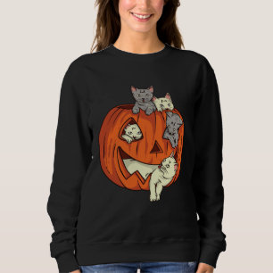 Cat Pumpkin Jack O Lantern Cat Halloween Costume B Sweatshirt