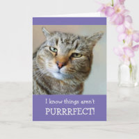Cat Pun And Joke Get Well