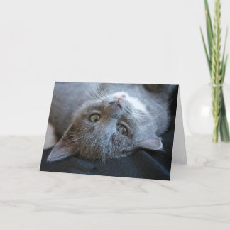 Cat Purrday Card