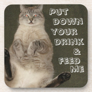 Cat "PUT DOWN DRINK & FEED ME" Coasters - Set of 6