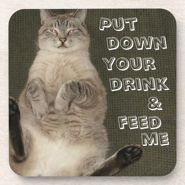 Cat "PUT DOWN DRINK & FEED ME" Coasters - Set of 6 (Front)