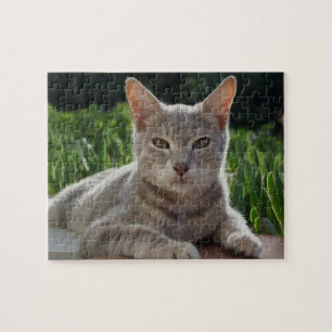 Cat Puzzle