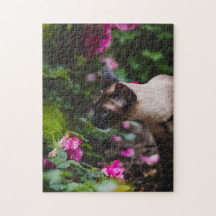 Cat Puzzles Cat Kitten Photography Animal Pic Cat