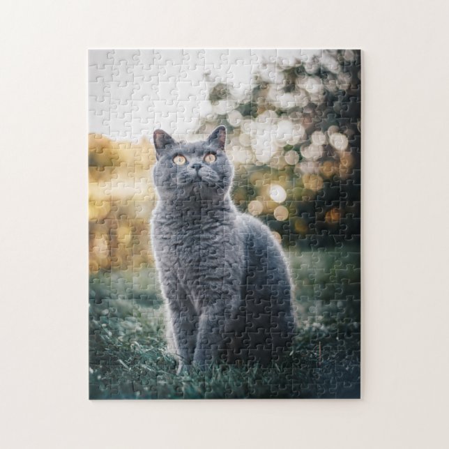Cat Puzzles Cat Kitten Photography Animal Pic Cat  (Vertical)