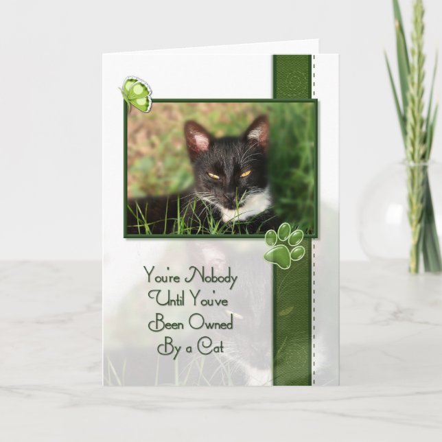 Cat Quote Card (Front)