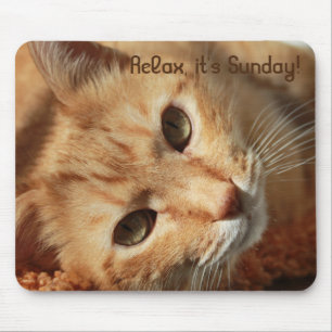 Cat quote mouse pad
