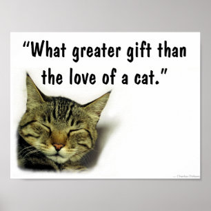 Cat quote poster