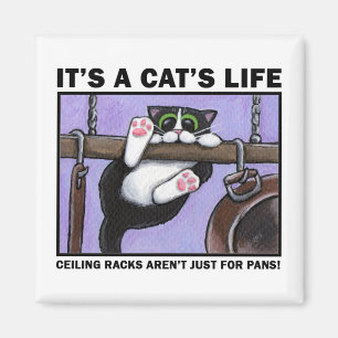 Cat Rack v.01 - It's A Cat's Life Magnets