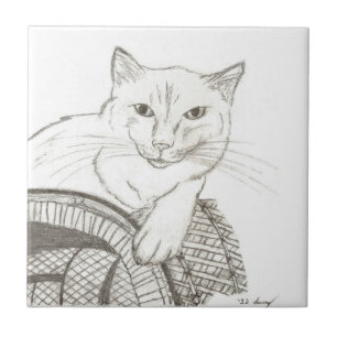 Cat Ragdoll Portrait Tile