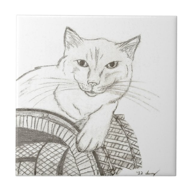 Cat Ragdoll Portrait Tile (Front)